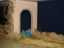 Presepe Vivente-22