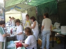 Festinsieme 2007-17