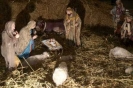 Presepe Parrocchiale 2008-1
