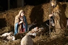 Presepe Parrocchiale 2008-4
