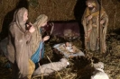 Presepe Parrocchiale 2008-5