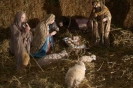 Presepe Parrocchiale 2008